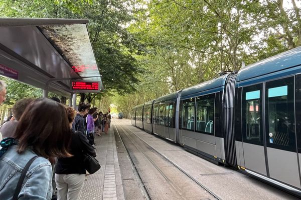 Du 8 juillet au 30 août, des travaux vont perturber tout le réseau TBM dans l'agglomération bordelaise.