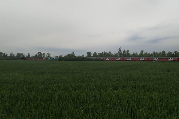 Un TER qui circulait entre Tonnerre et Paris a percuté un homme le lundi 3 juin, vers 9h, dans le sens Dijon-Paris