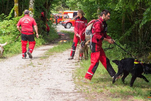 Illustration : équipe cynotechnique des sapeurs-pompiers de l'Ain