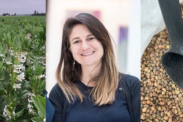 La féverole est largement cultivée dans la région. Elle peut remplacer le soja dans les aliments.