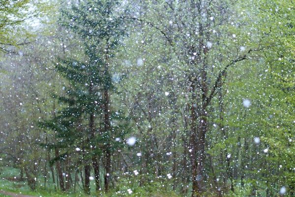 Pluie vent fort et douceur