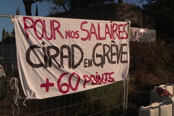 Des salaires qui stagnent et une inflation croissante ont poussé les scientifiques du CIRAD de Montpellier à se mettre en grève, ce jeudi 17 novembre.