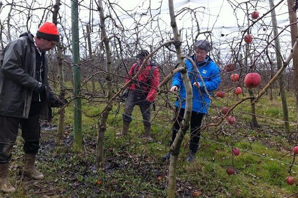 Sur leur exploitation de Moissac (82), Françoise Roch et ses associés pratiquent l'agroécologie depuis près de 20 ans.