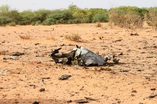 Photo prise le 25 juillet, montrant le crash du vol Air Algérie AH 5017 qui a coûté la vie notamment à Bertrand Gineste, 55 ans, son épouse Véronique et leurs trois enfants