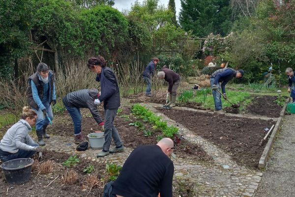 A Thermes-Magnoac dans les Hautes-Pyrénées les jardins de la poterie Hillen ont dû faire face à plusieurs tempêtes depuis décembre dernier. Une cinquantaine d'arbres sont tombés, dont certaines espèces rares.