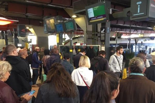 Aucun TER ne circule dans la région PACA ce vendredi 18 octobre.