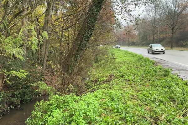 Au Creusot, le ruisseau où le corps non identifié a été découvert le 1er décembre