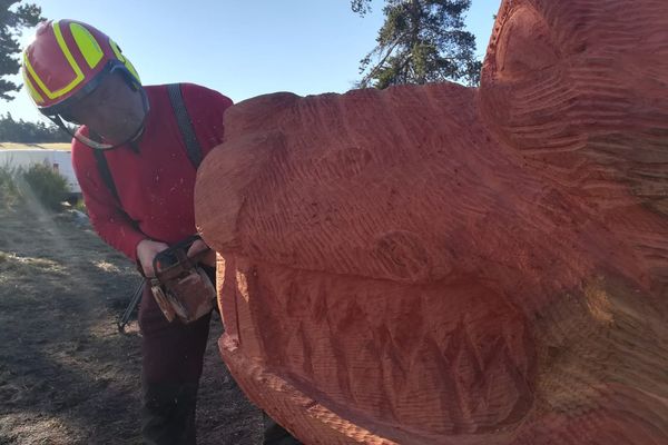 Ce sculpteur de Saugues en Haute-Loire redonne vie à la bête du Gevaudan avec une tronçonneuse