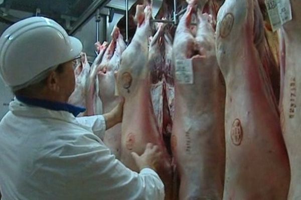 Abattoirs d'Aubenas... faute de cochons, on se rabat sur les moutons