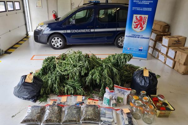 saisie de cannabis par les gendarmes de Villefranche-de-Lauragais