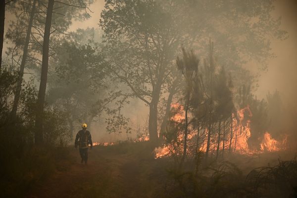 Près de 13 000 hectares ont été détruits par l'incendie de Landiras, qui n'est toujours pas fixé