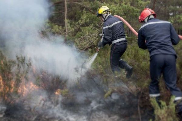 Un feu dans la forêt de Fontainebleau, en Seine-et-Marne.