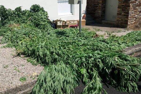 Depuis la rue, les gendarmes ont senti une odeur de cannabis.