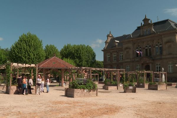 Le jardin éphémère de l'association Alysses, sur la place du Château, à Bouxwiller.