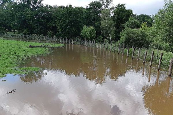 L'eau a envahi une partie du parc