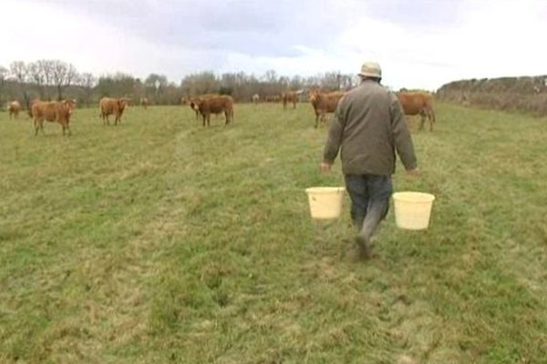 En Creuse, mercredi, il est tombé 45 mms d'eau.