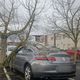 Un arbre tombé sur le parking d'un supermarché rue Gosset à Reims.