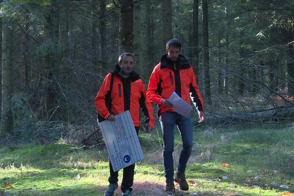 Les cartographes de la CFBL ont développé des logiciels spécifiques où l'Intelligence Artificielle aide à la gestion des forêts.