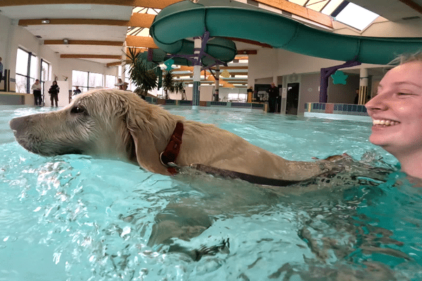 Thalia et sa maîtresse Julie se baignent pour la première fois à la piscine du Neubourg, décembre 2023