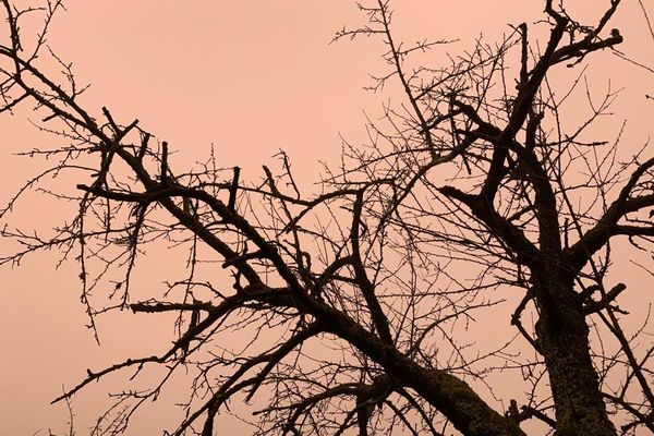 Le ciel alsacien se teinte d'un jaune orangé intrigant, c'est le sable du Sahara qui remonte dans les airs depuis l'Afrique du Nord