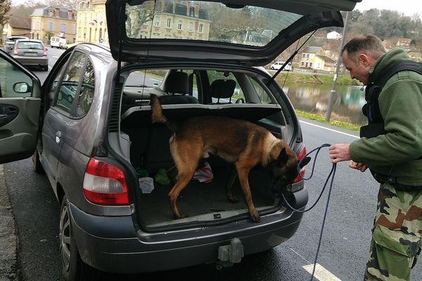 Les contrôles de stupéfiant de la gendarmerie s'effectuent en présence d'un chien spécialisé