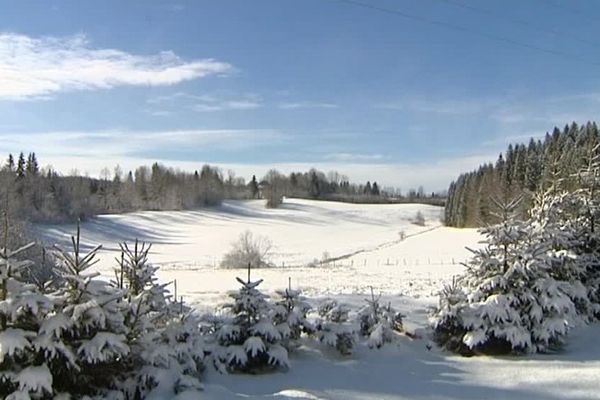 La neige est là, mais fait défaut sur une grande partie du tracé de la Transjurassienne