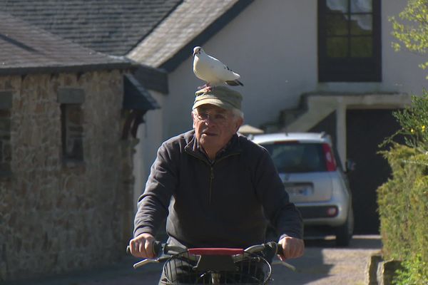 Quand Xavier part faire un tour à vélo, Blanchon vient se percher sur sa tête