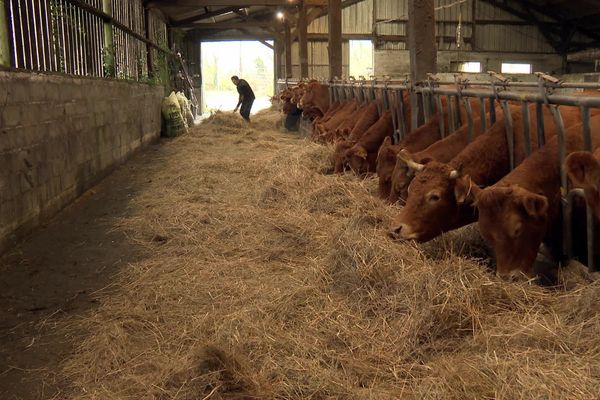 La ferme de Jules Tallec