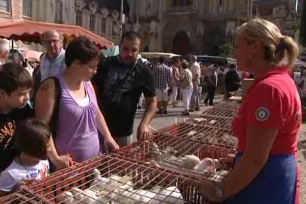 Lisieux, la place de la république accueille la traditionnelle Foire aux picots