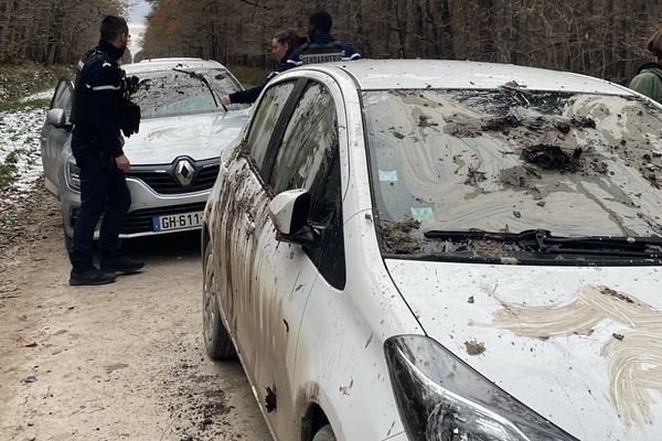 Les gendarmes sont intervenus en forêt d'Orléans suite à l'appel des membres de l'association anti-chasse Nos Vilentia. Ces derniers indiquent avoir été pris a partie plusieurs fois par le même équipage de chasse à courre.