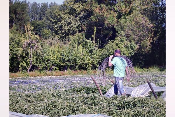 La ferme du Treuil-Charré, en Charente-Maritime, rencontre de grosses difficultés financières. Elle risque de mettre la clé sous la porte.