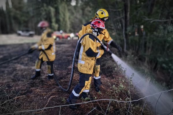 Un feu s'est déclaré dans le secteur de Mandelieu-la-Napoule ce dimanche 19 septembre après qu'un voiture a pris feu.