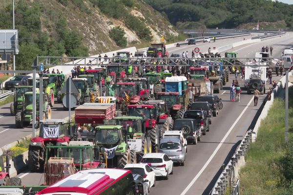 Les agriculteurs bloquent la frontière depuis lundi matin.
