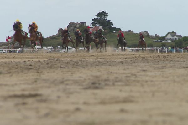 Les chevaux s'élancent sur la piste, pour le plus grand plaisir des parieurs et des nouveaux venus.