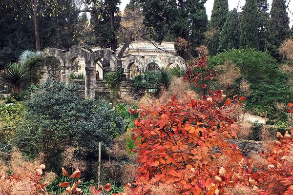 Le jardin de plantes de Montpellier prend ses couleurs d'automne.