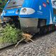 Mardi 17 septembre, un train a heurté un sapin tombé sur les voies, entre Roanne et Lyon.