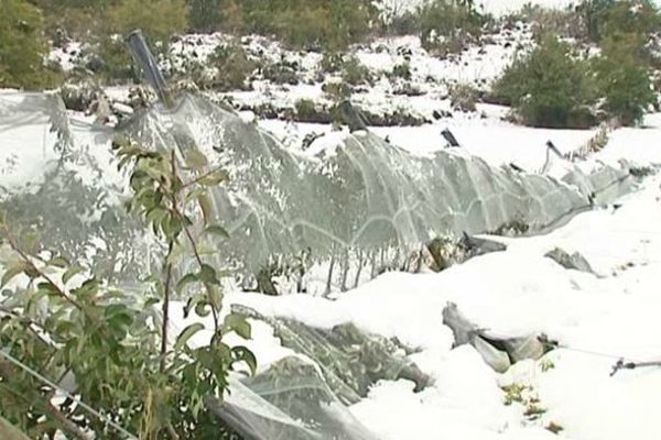 21/11/13 - Les filets ont ployé sous le poids de la neige, entraînant les mâts et cassant les jeunes arbres....