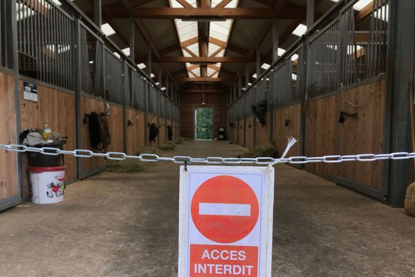 Au centre équestre de Saint-Avold, le choix a été fait de laisser les chevaux dans les boxes. Ils ne sortent qu'une à deux heures par jour. 