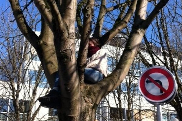 Une militante écologiste proteste contre l'abattage des arbres place de la halle à Tours. -Indre-et-Loire)