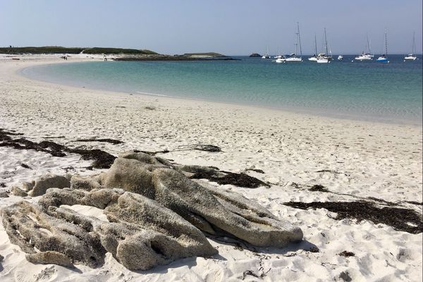 Sur une plage des Glenan (29) en juin 2019