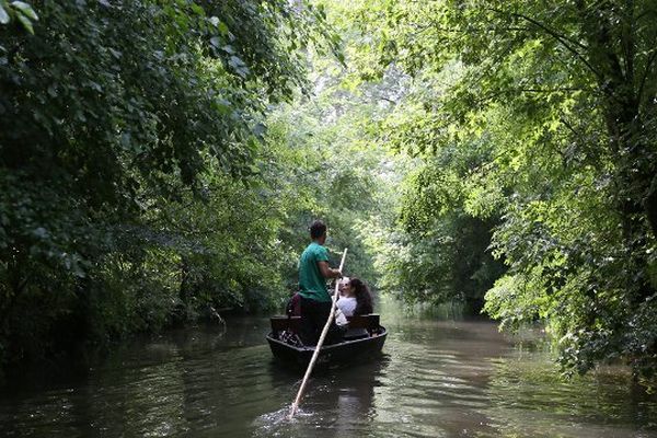 Le marais poitevin