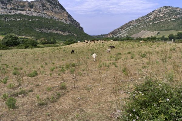 Paysage de Haute-Corse.