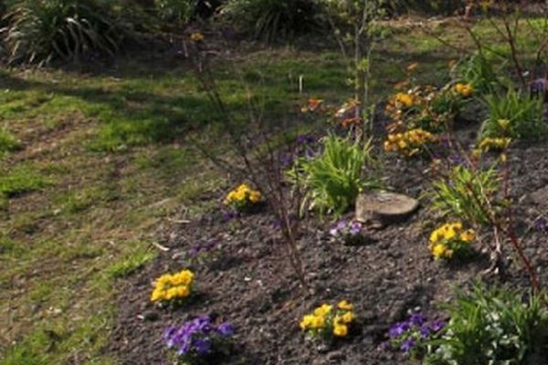 Le jardin solidaire de Saint-Maurice à Amiens