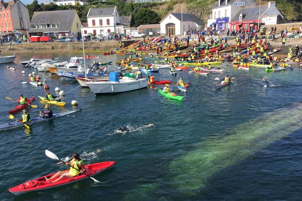 Le défi des Courreaux a rassemblé 145 nageurs et des kayakistes qui les accompagnent 