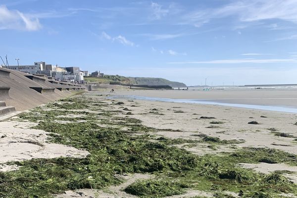 La plage de Wimereux, samedi 15 juin 2024.