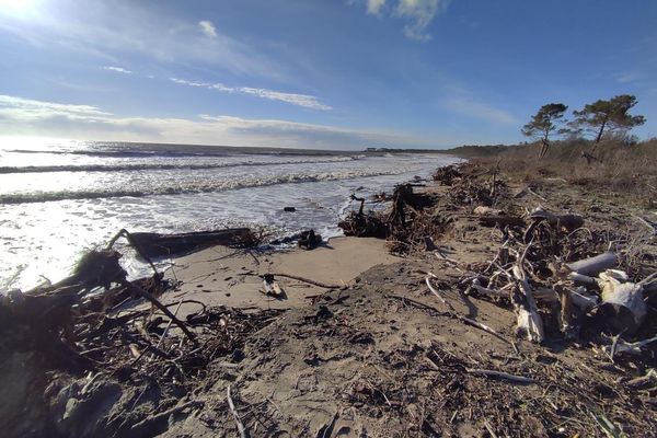 Après les grandes-marées, place au néttoyage des plages sur la côte Atlantique.