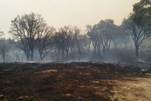  Haute-Corse - A Biguglia, un incendie parti le 24 juillet a détruit près de 2200 hectares de maquis. 