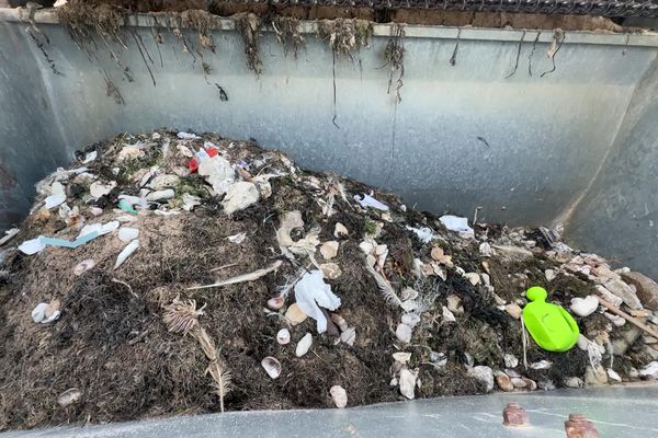 Plus de 50 kg de déchets sont ramassés chaque matin.