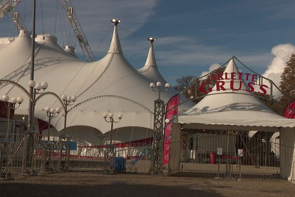 À 28 ans, Pierre réalise son rêve d'enfant : intégrer le cirque Arlette Gruss.