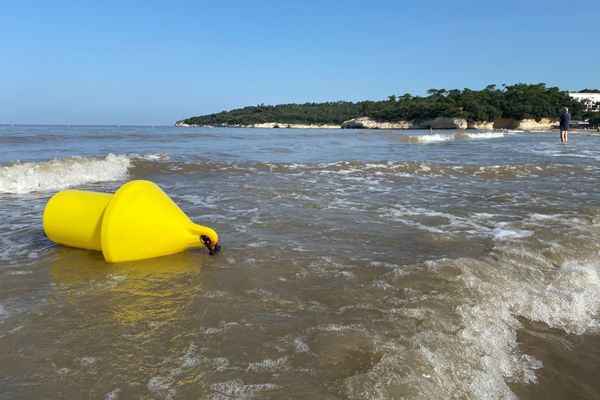 La plage de Meschers-sur-Gironde, où la petite fille de 11 ans a disparu vendredi 13 août